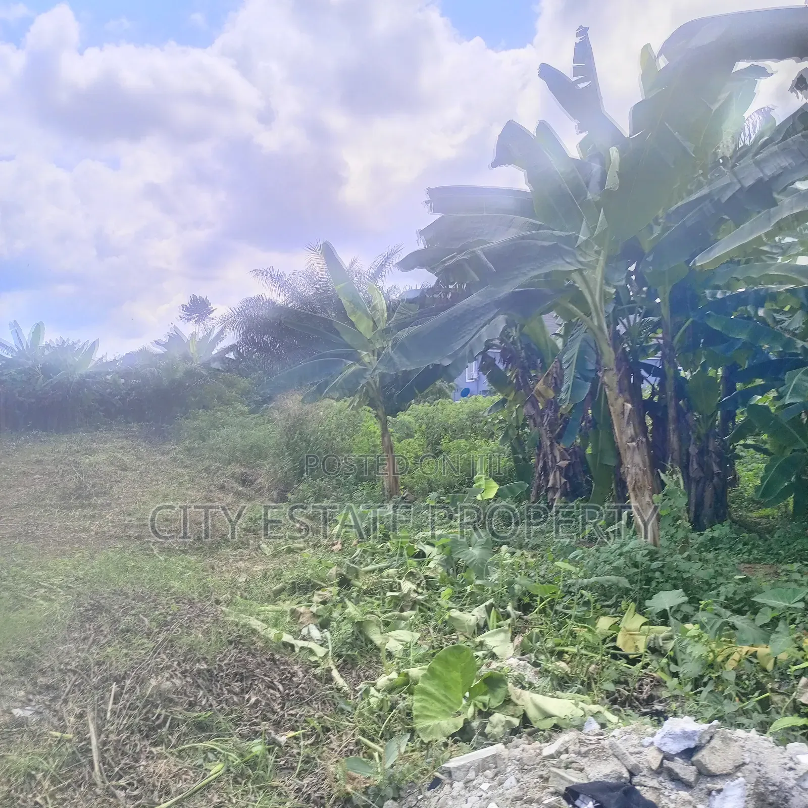Land for Sale at Chomana Off Rukpokwu Eneka Rd Fed Light