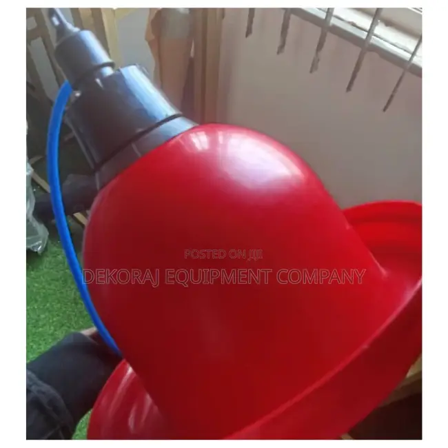 Efficient Bell Drinker, Point Of Lay Birds For Sales