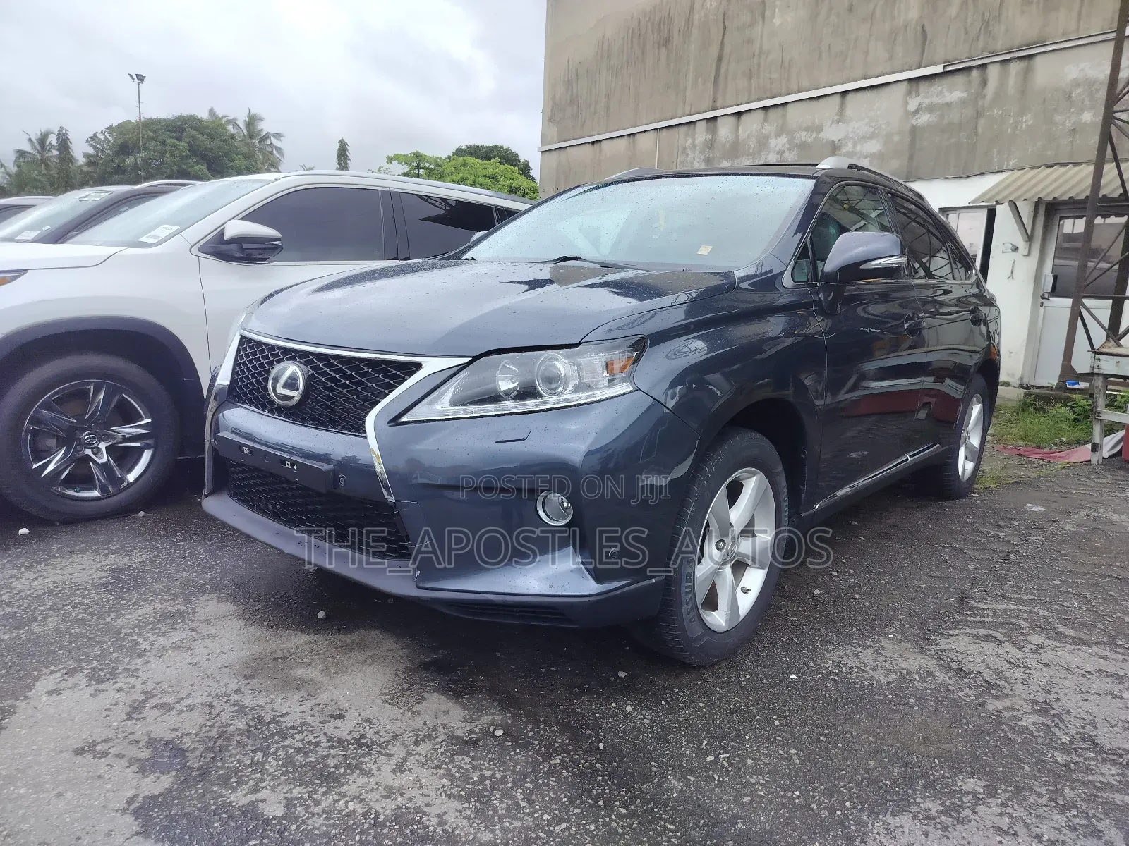 Lexus RX 2010 Gray