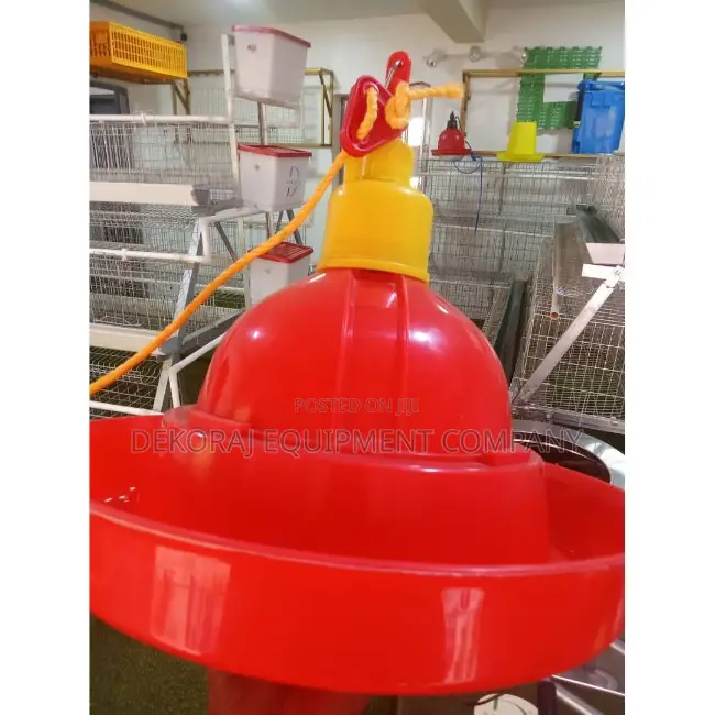 Maximize Egg Production With Our Bell Drinkers,Feeders