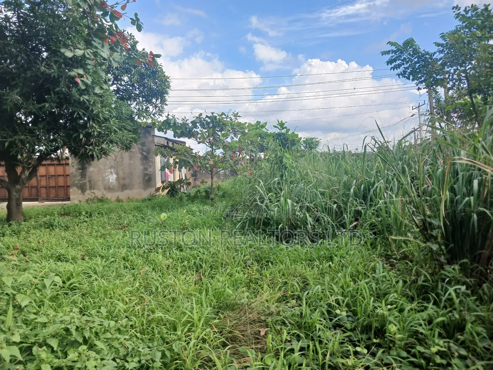 Land Measuring About 4000sm