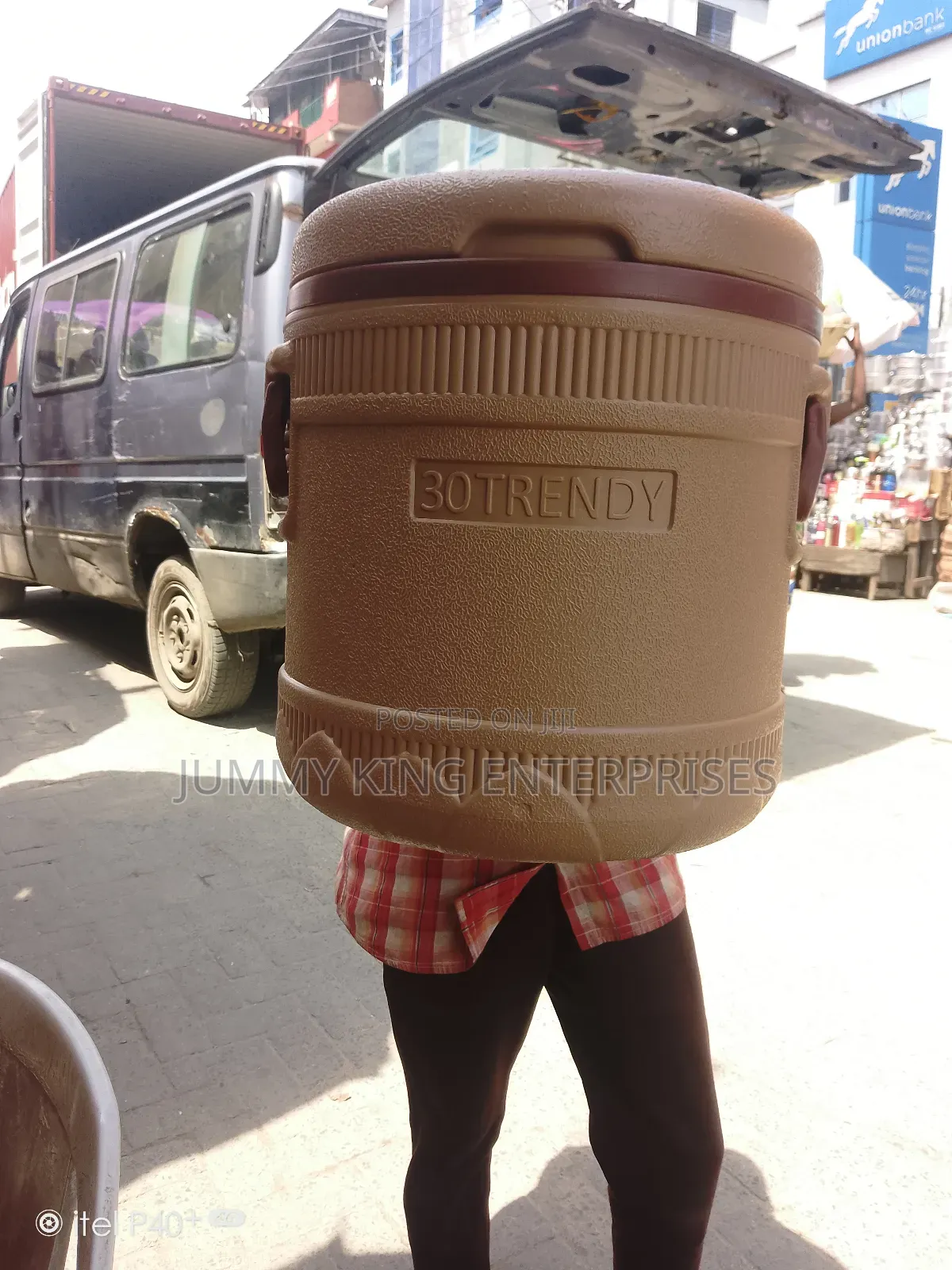 High Quality Food Cooler/Warmer