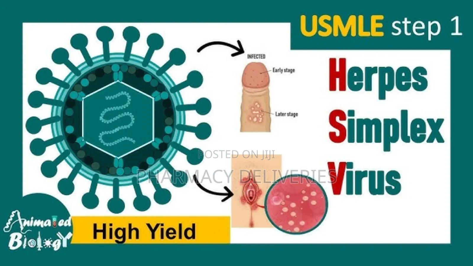 Treatment for HPV Genital Wart Inside Bloodstream Outside