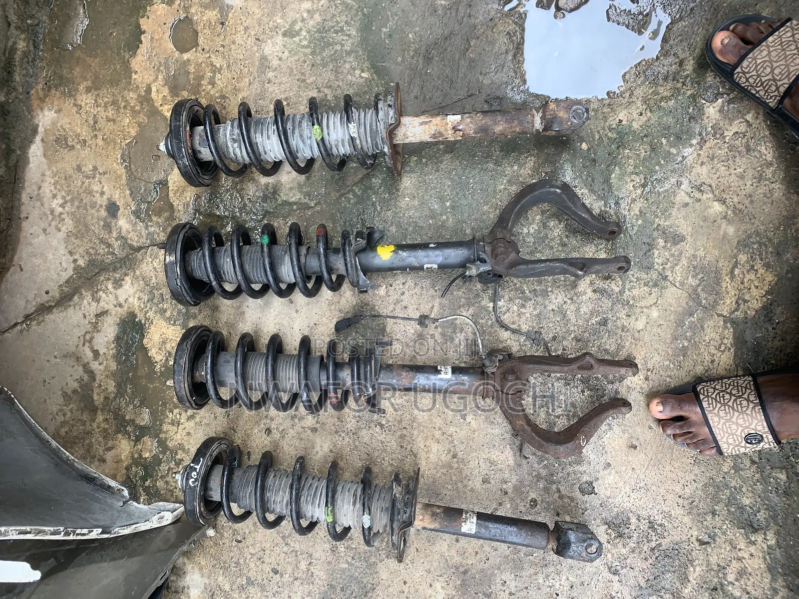 Complete Shock Front and Back 2008-2012 Accord