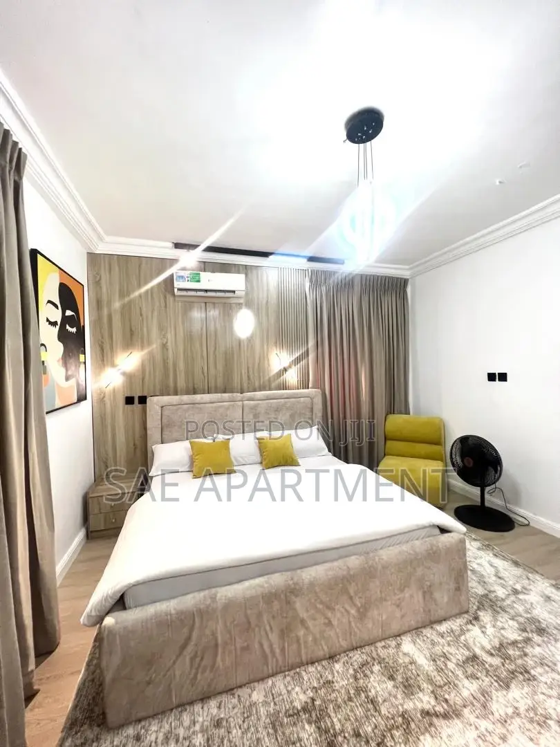Delicate One Bedroom Apartment, Wuse 2 Abuja