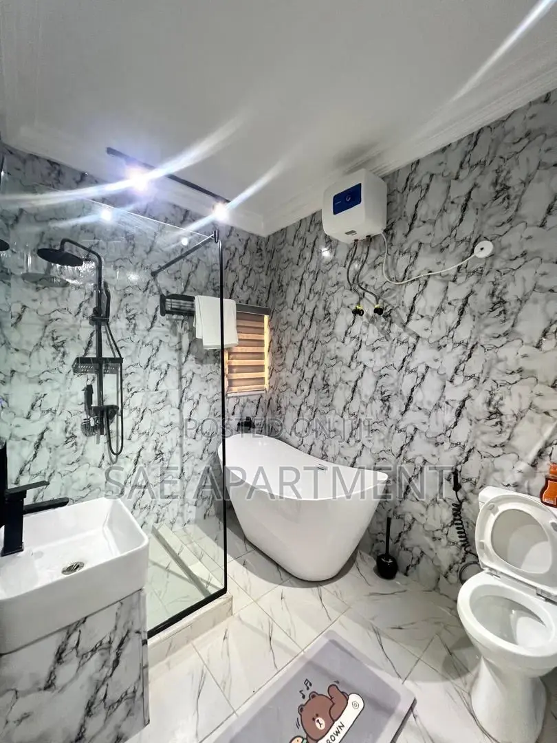Delicate One Bedroom Apartment, Wuse 2 Abuja