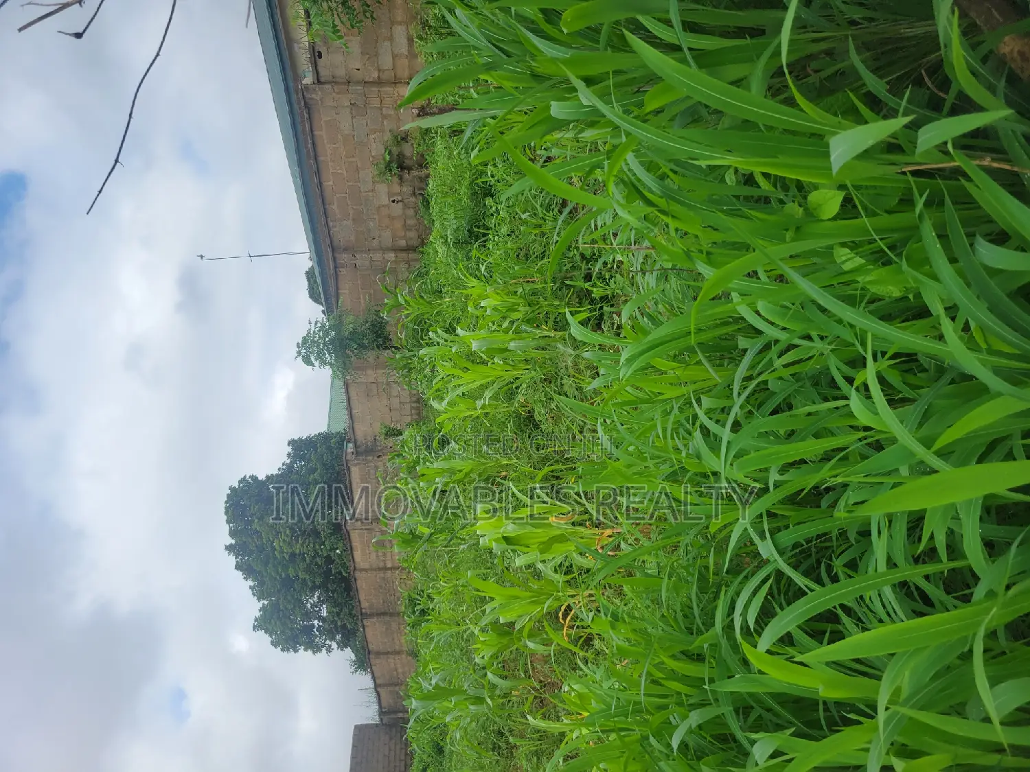 2 Plots for Sell at Ibara Gra Extension