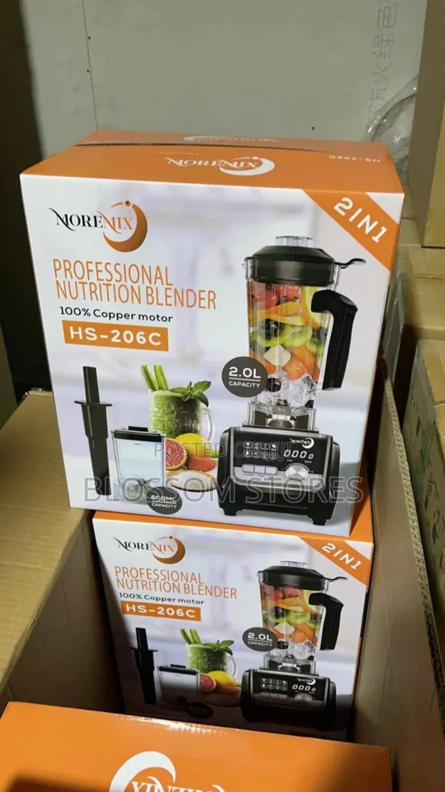 Moremix Professional Blender (2in1)