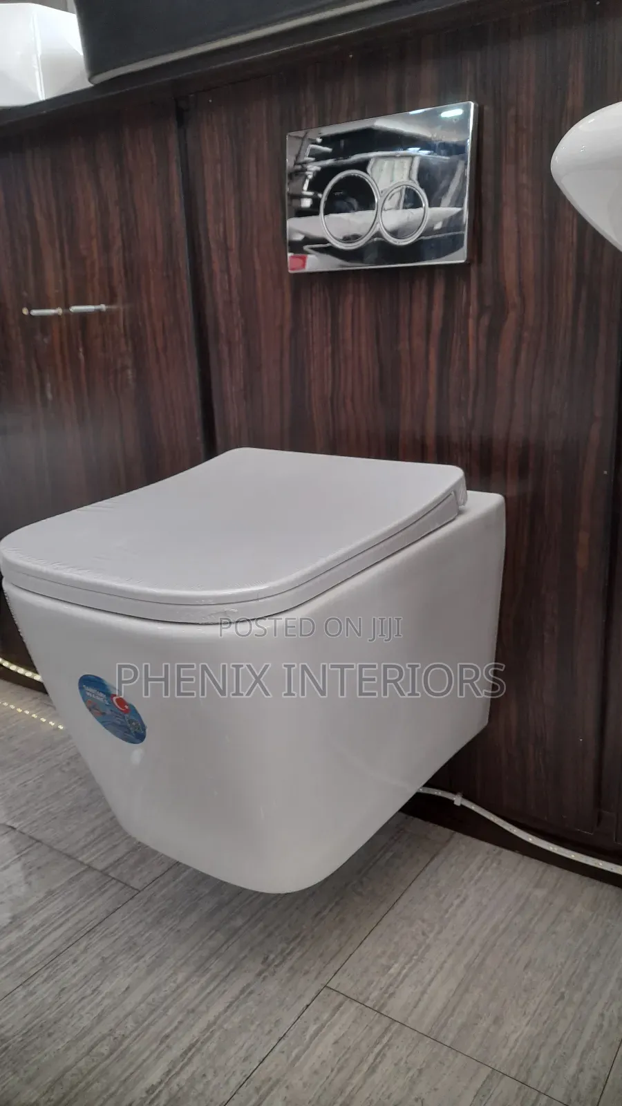 White Concealed Conduit Water Closet
