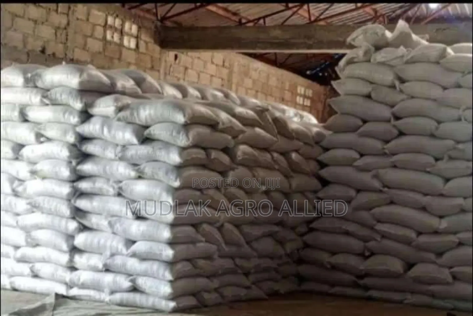 Cashew Nuts, Soyabeans,Maize,Cocoa, Shea Nuts, Sesame Seed,Etc.