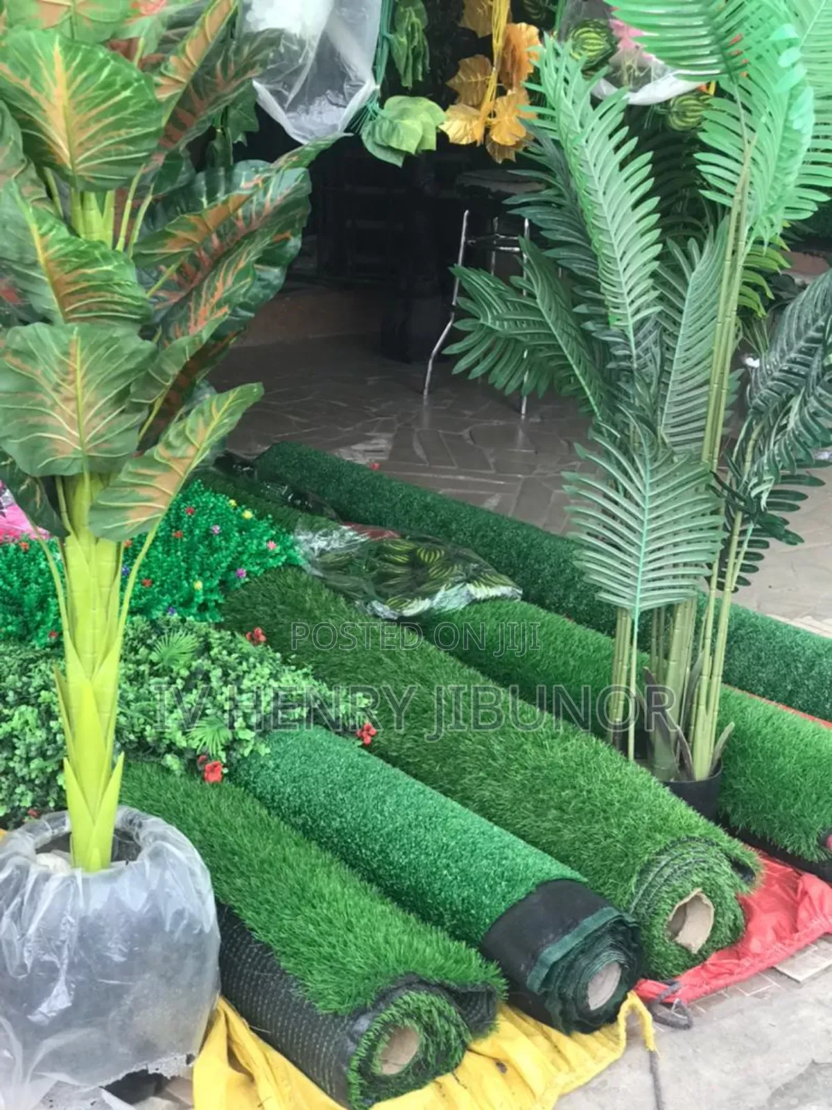 Turkey Grass Carpet