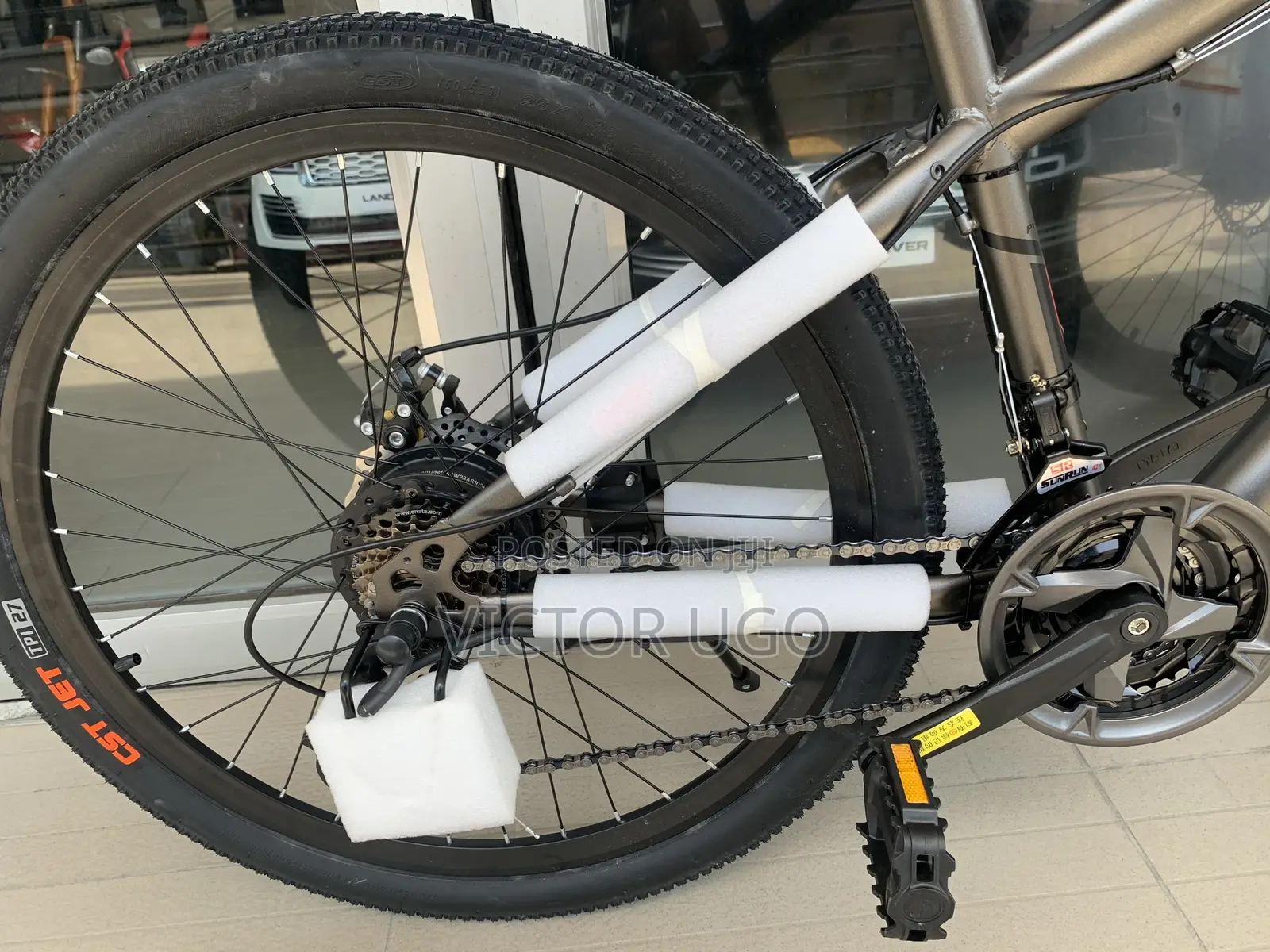 Phoenix Electric Bike