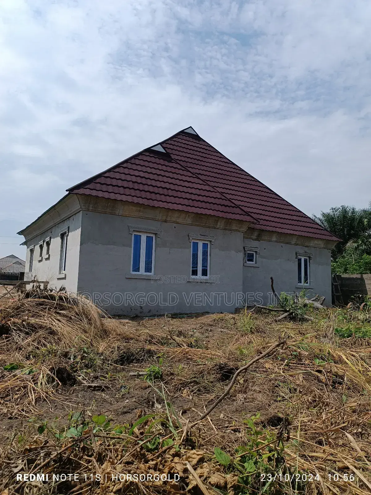 Wall Screeding/Skimming/Smoothing