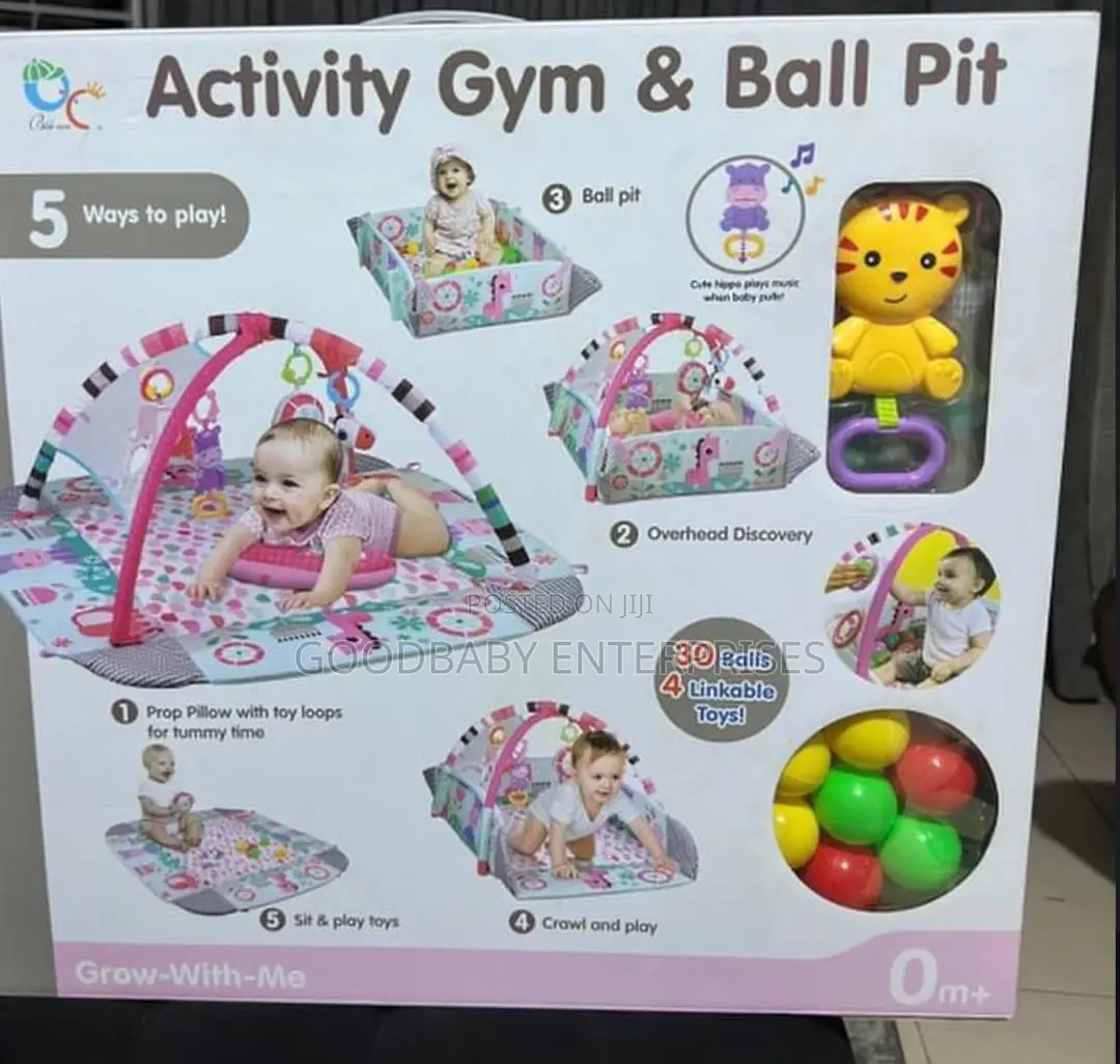 5 in 1 Activists Gym Ball and Ball Pit