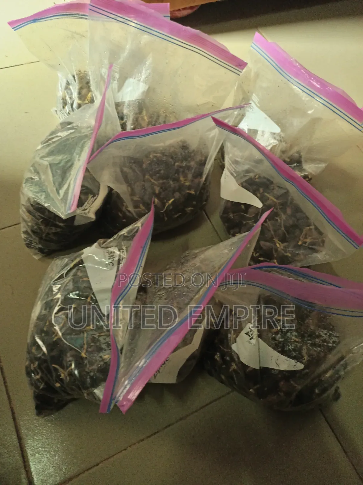 Hybrid Tenera Oil Palm Sprouted Nuts