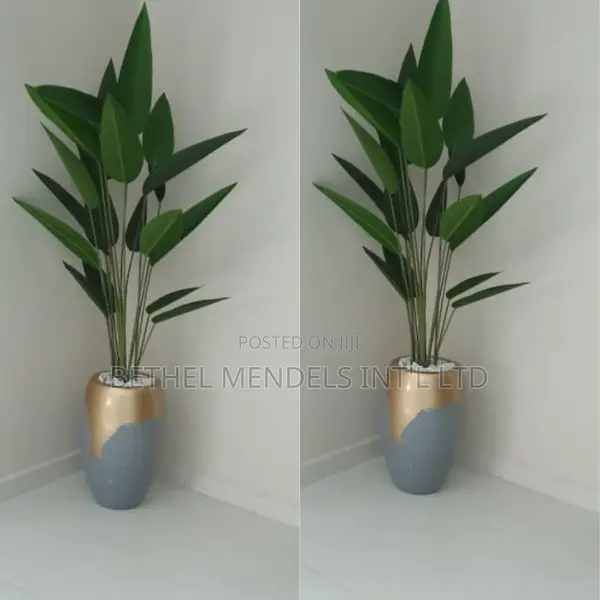 Combo of Artificial Plant Potted With Fiberglass Pot