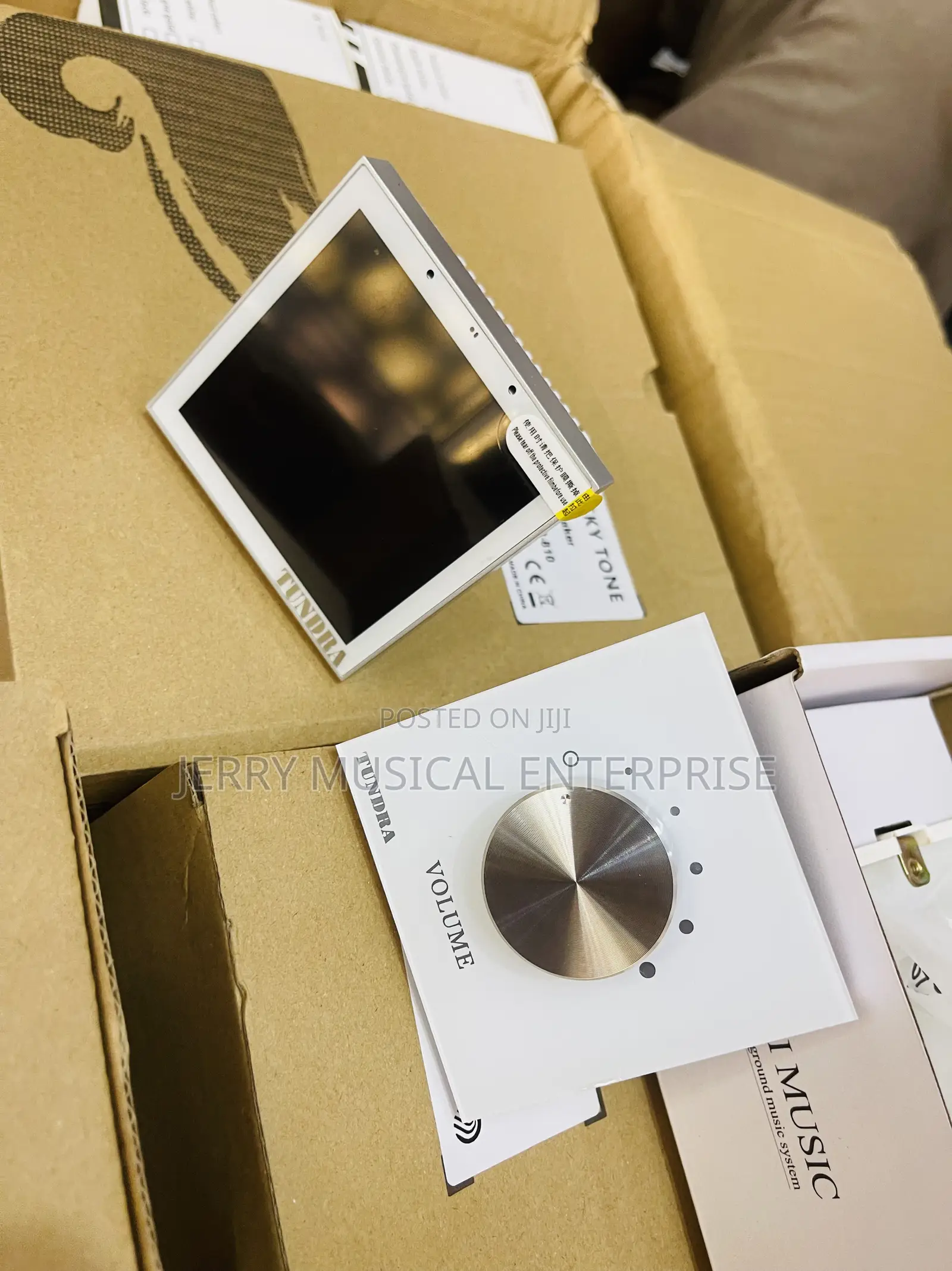 Wall Amplifier With Alexa and Tuya With Volume Control
