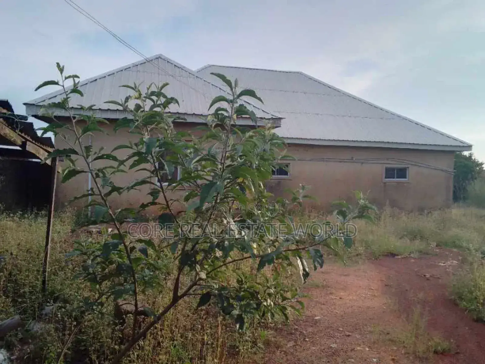Trancsekulu, Blossom Garden, Enugu