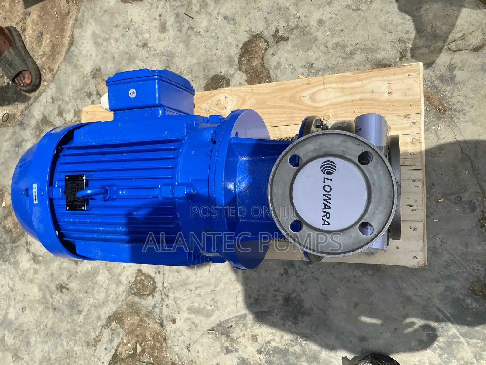 Lowara Surface Water Pump