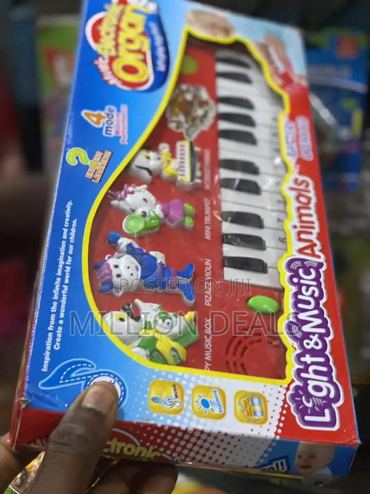Light N Music Organ Kids Toy