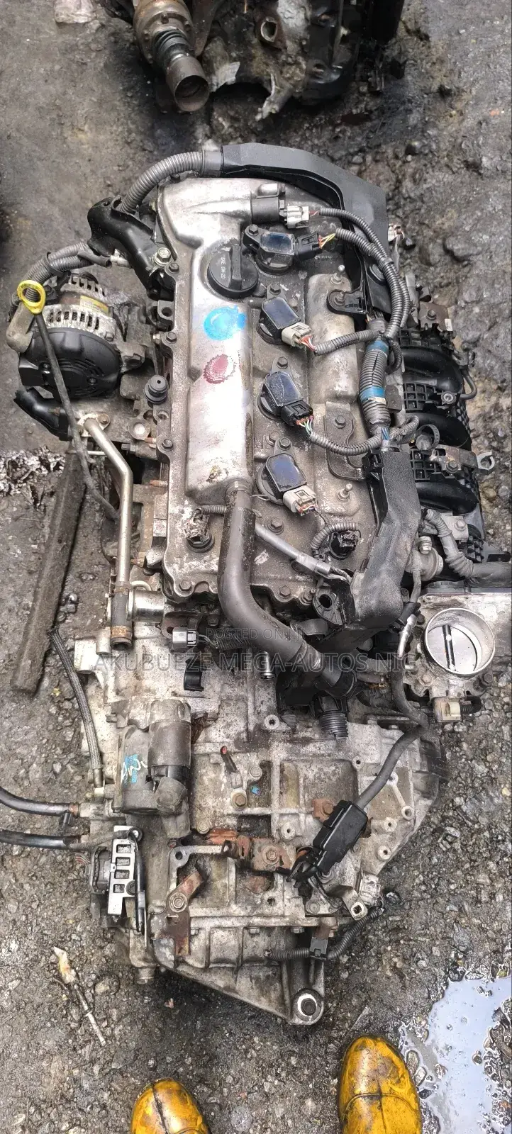 Toyota Camry 2010 Engine (4 Plug)