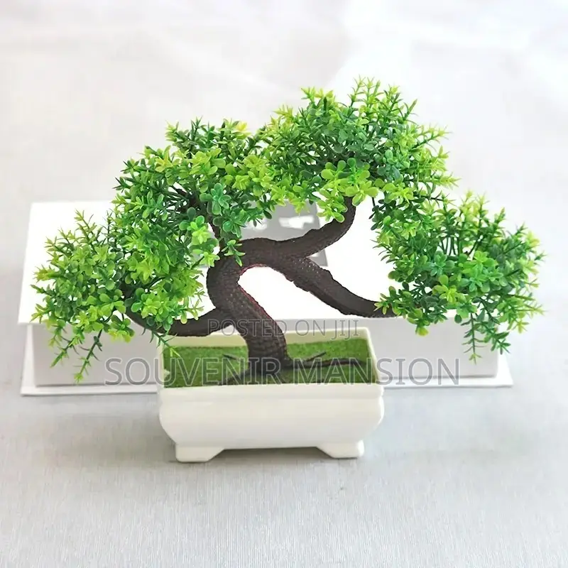 Flowers for Decor