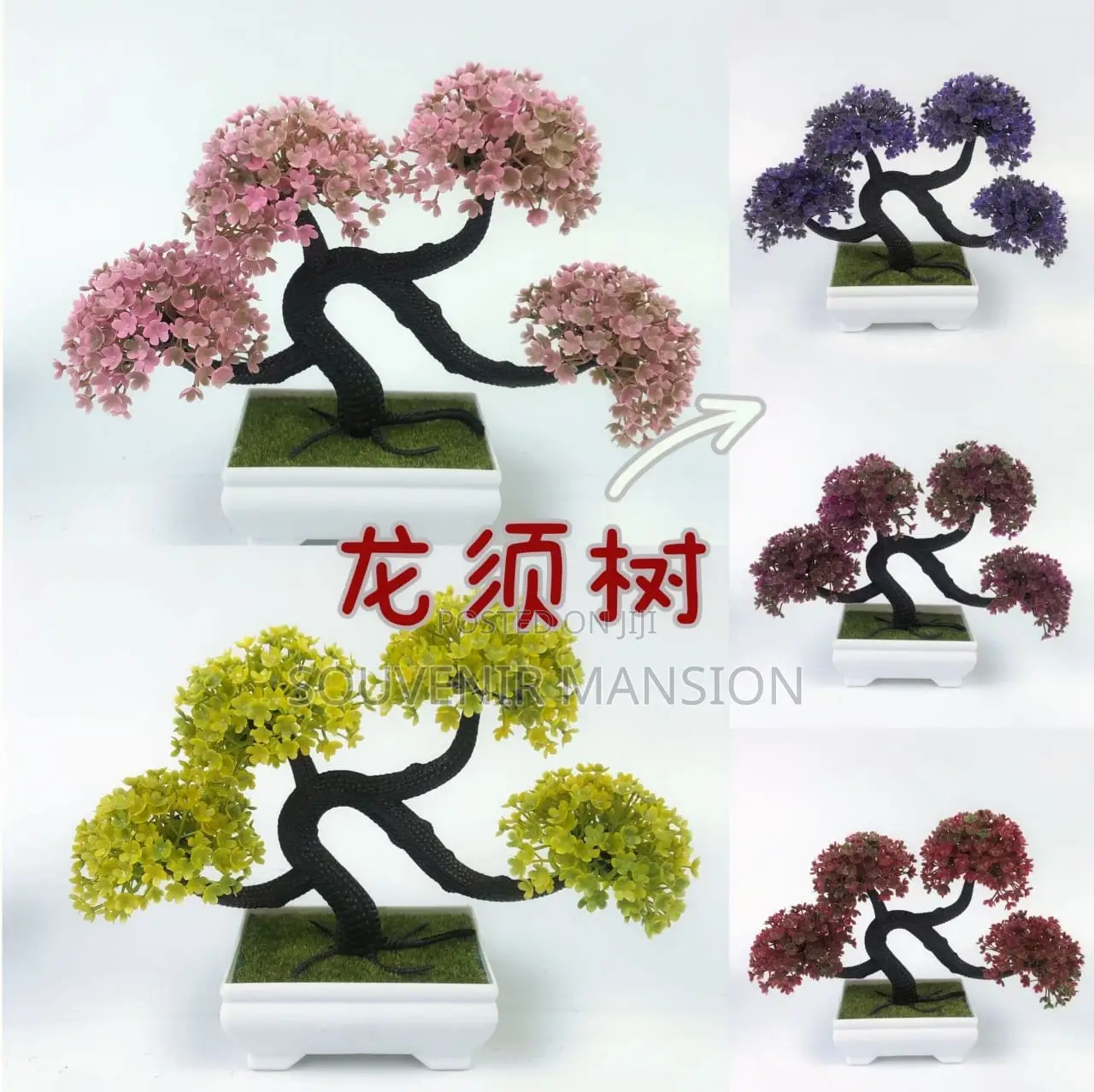 Flowers for Decor