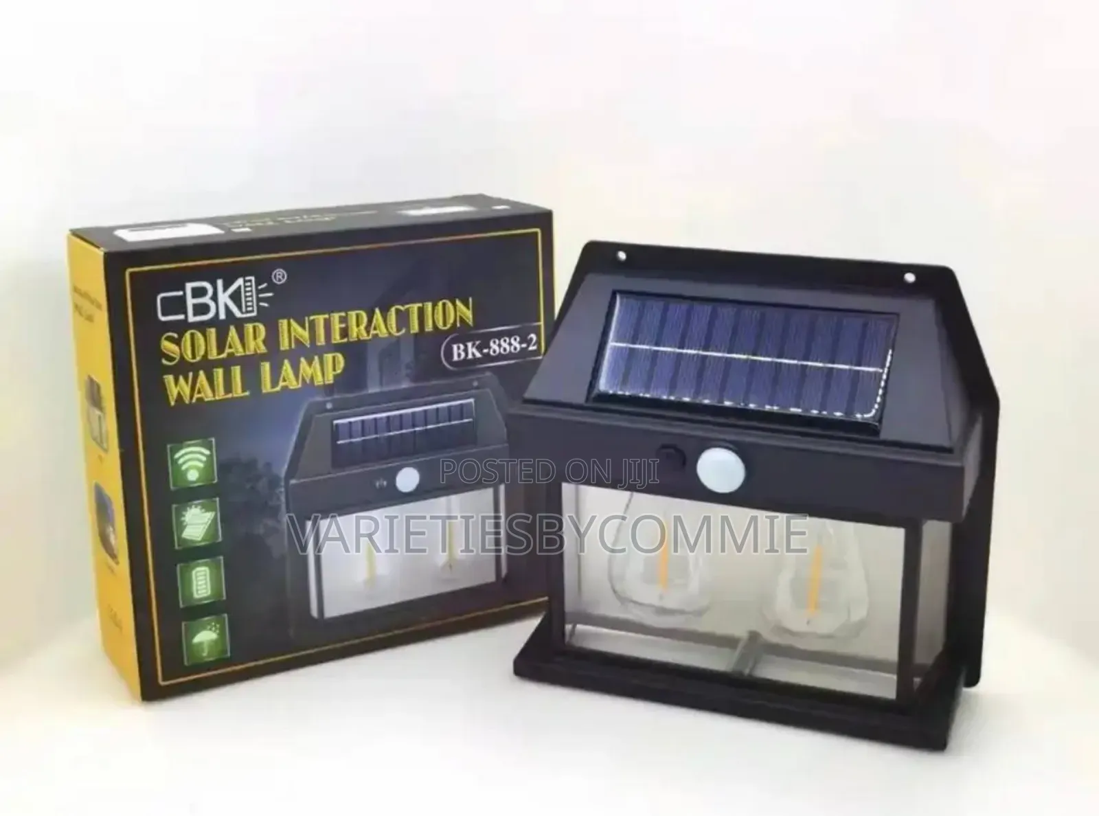 Wall Induction Bulb Lamp