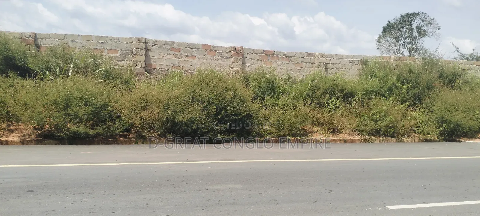 Commercial Land of 100ftx200ft in Asaba