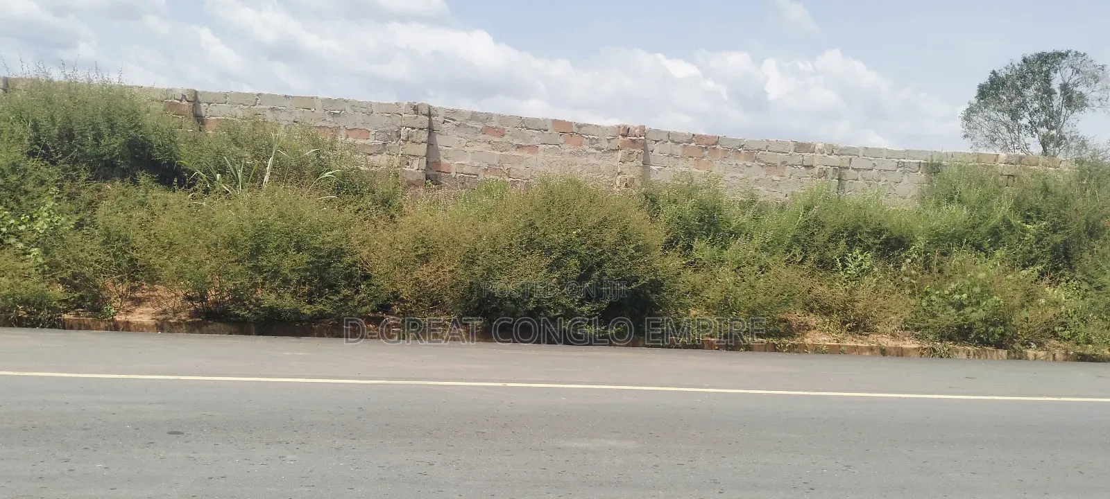 Commercial Land of 100ftx200ft in Asaba