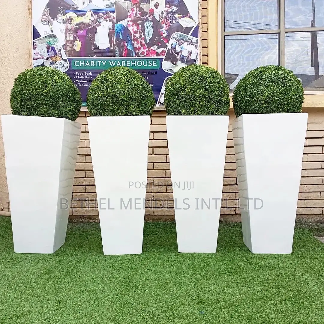 Boxwood Ball Plant Potted With Tapered Fiberglass Planter