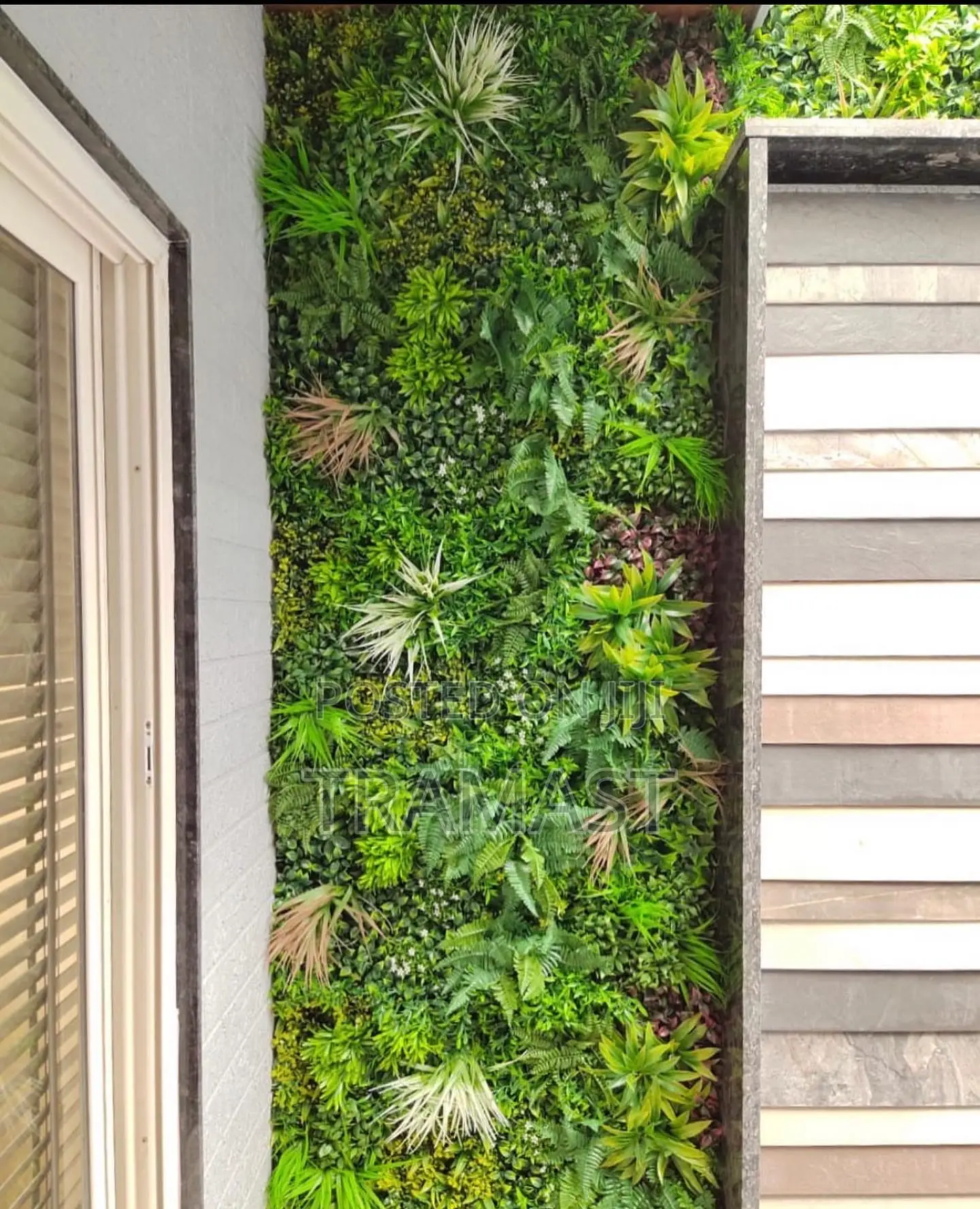 Boxwood Wall Mat Sale and Installation in Ikeja, Lagos