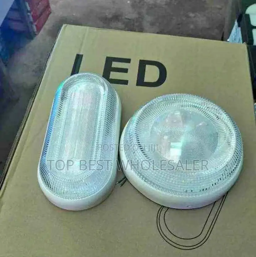 Transparent Bulkhead Outdoor Wall Lights