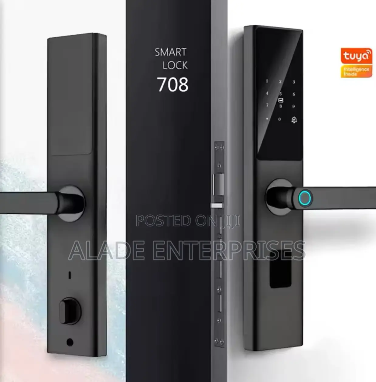 Smart Life/Tuya Alexa Locks Handle