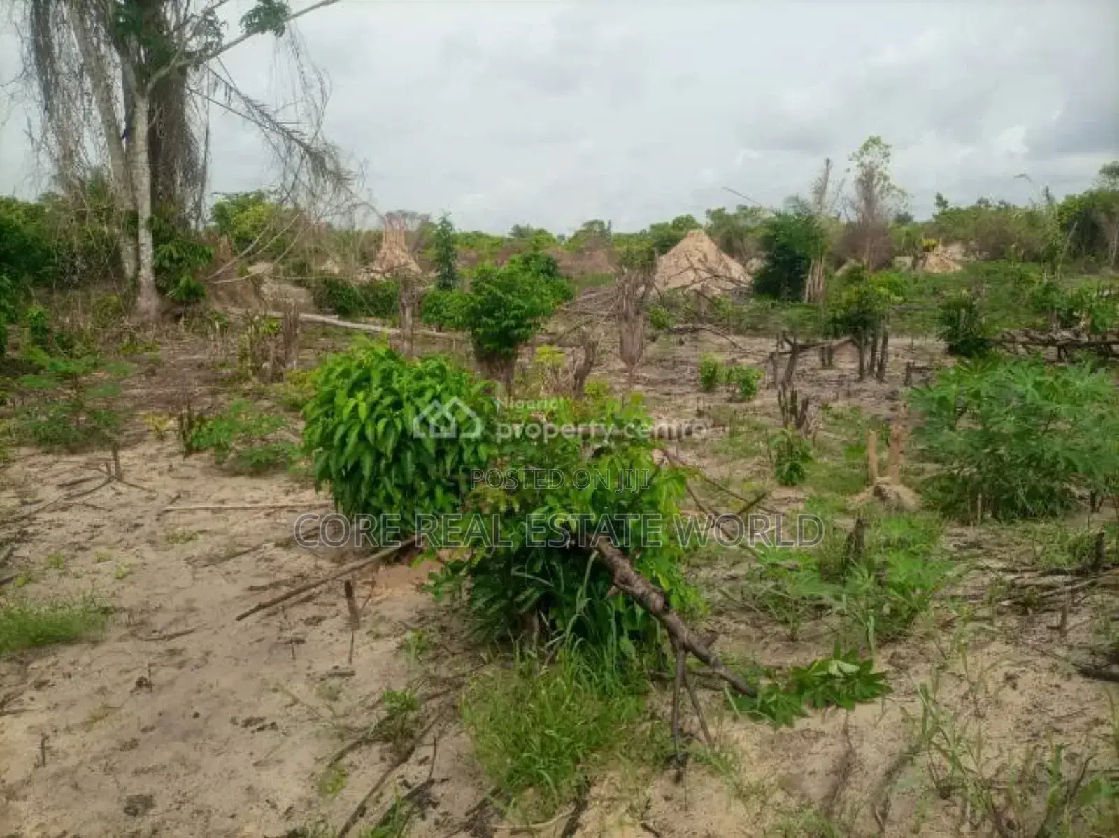 Okpanam, Asaba Delta State