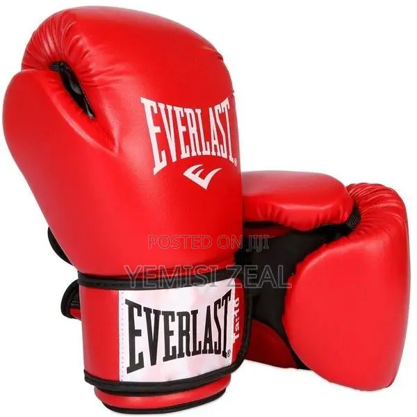 Multi-Color Everlast Boxing Gloves