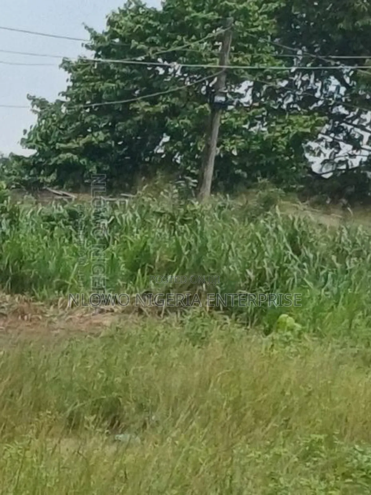 Sale of Plot of Land at Oke Oko Isawo Agric Ikorodu
