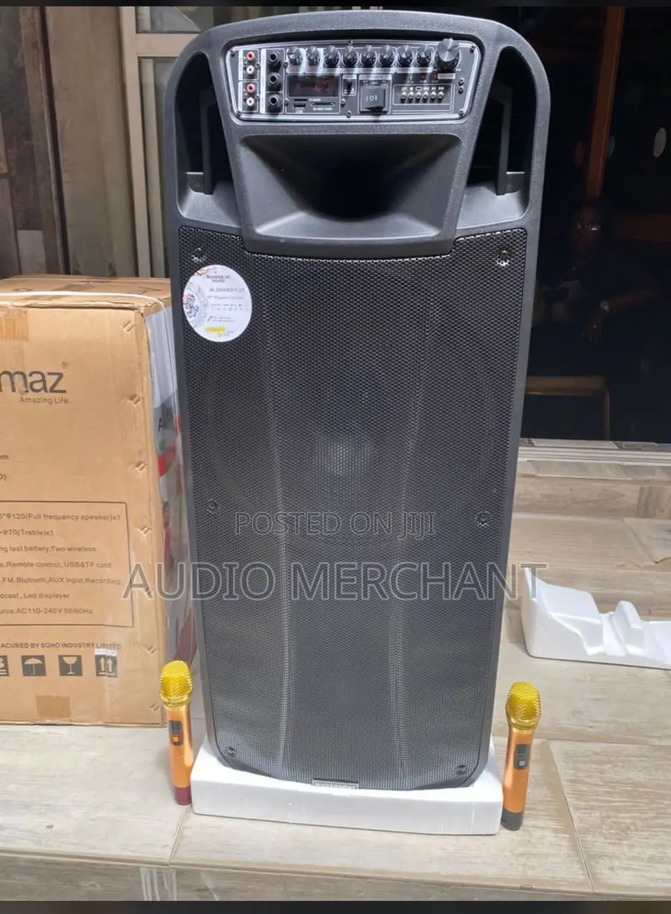 Double Public Address System With Wireless Microphones