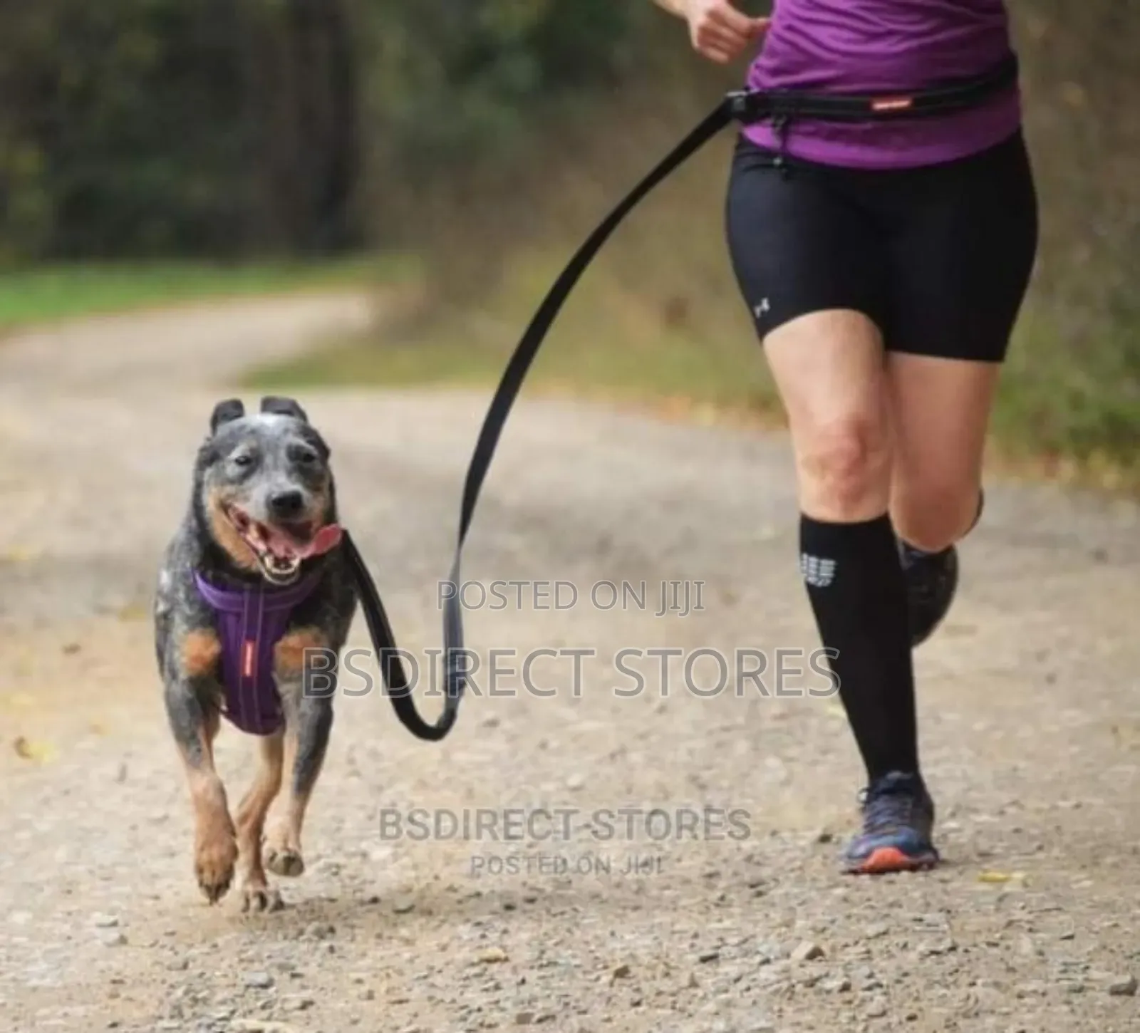 Ezydog BLACK Road Runner Lengthy Zero Shock Dog Leash