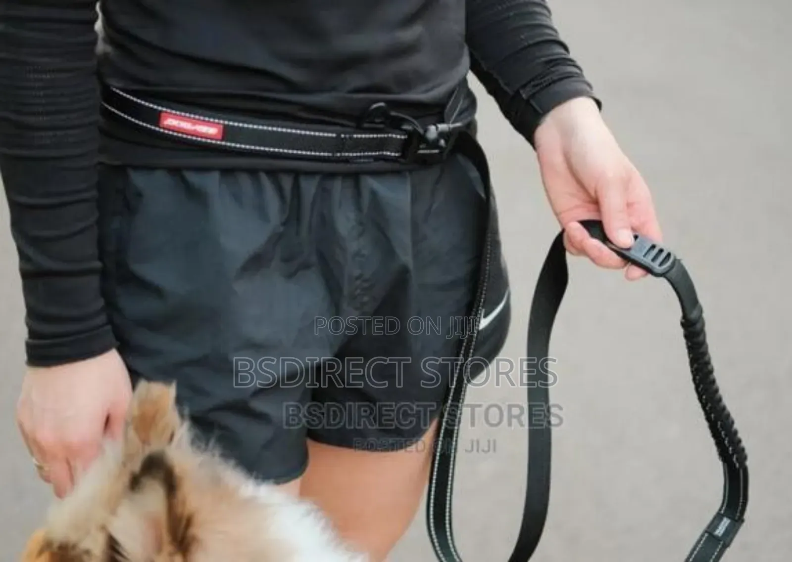Ezydog BLACK Road Runner Lengthy Zero Shock Dog Leash