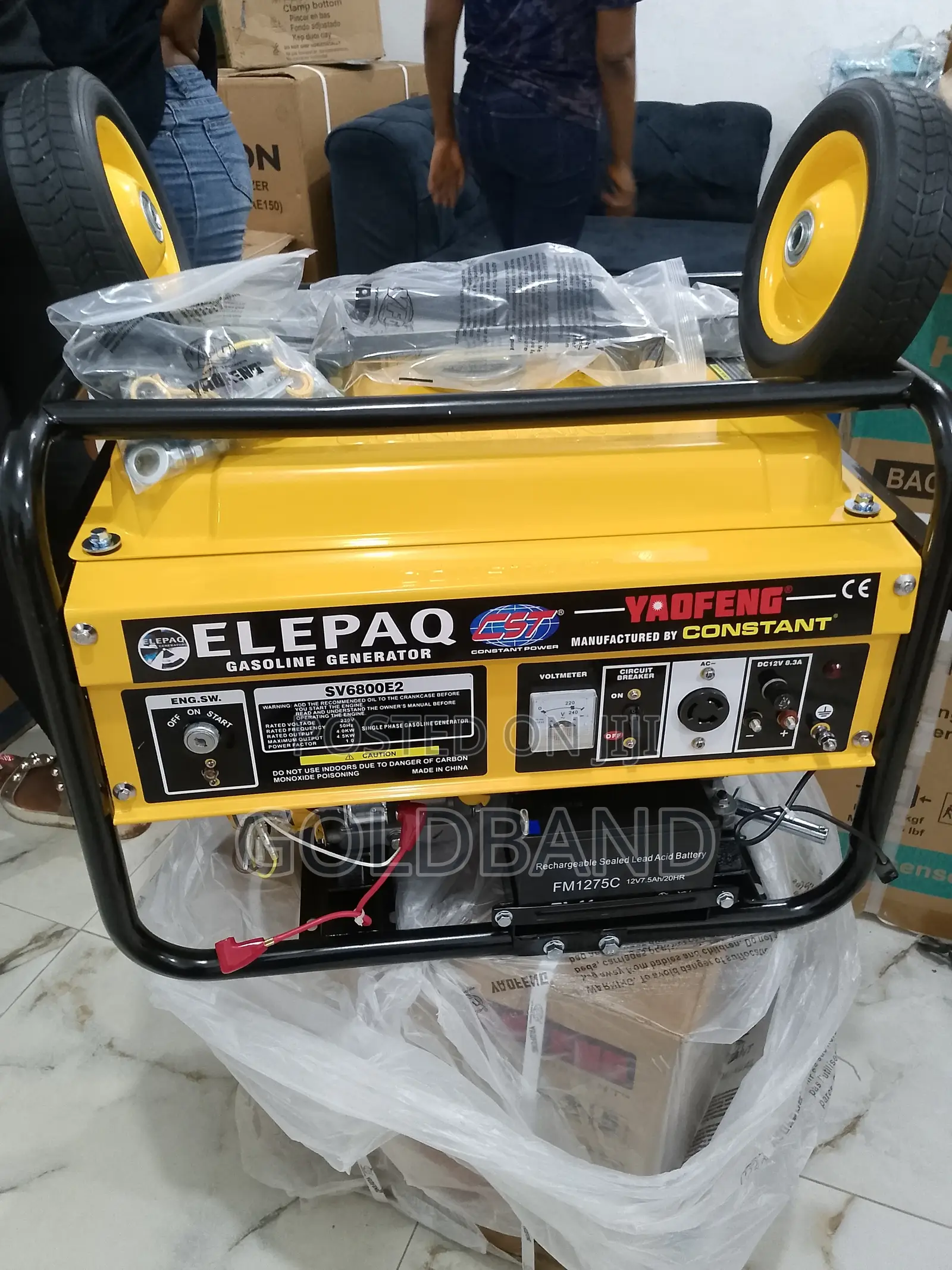 Elepaq Constant 4.5kva Gasoline House Generator