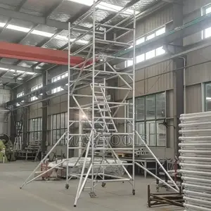 Scaffolding 10 Meters Working Height 300kg