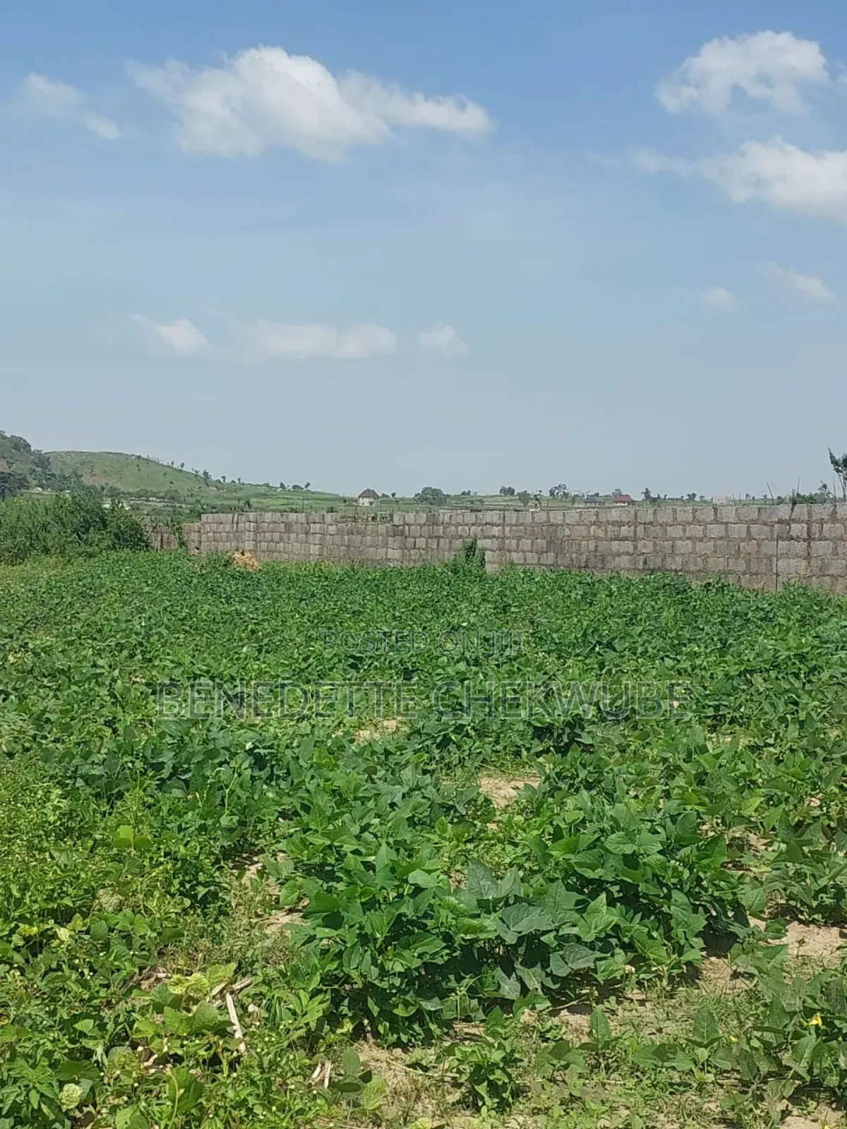 For Sale :Sweet One and Half Plot at Alun