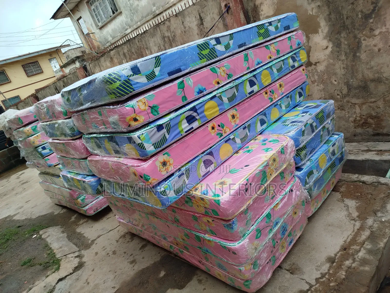 30 by 6" Thick Student Bed at Wholesale Price)