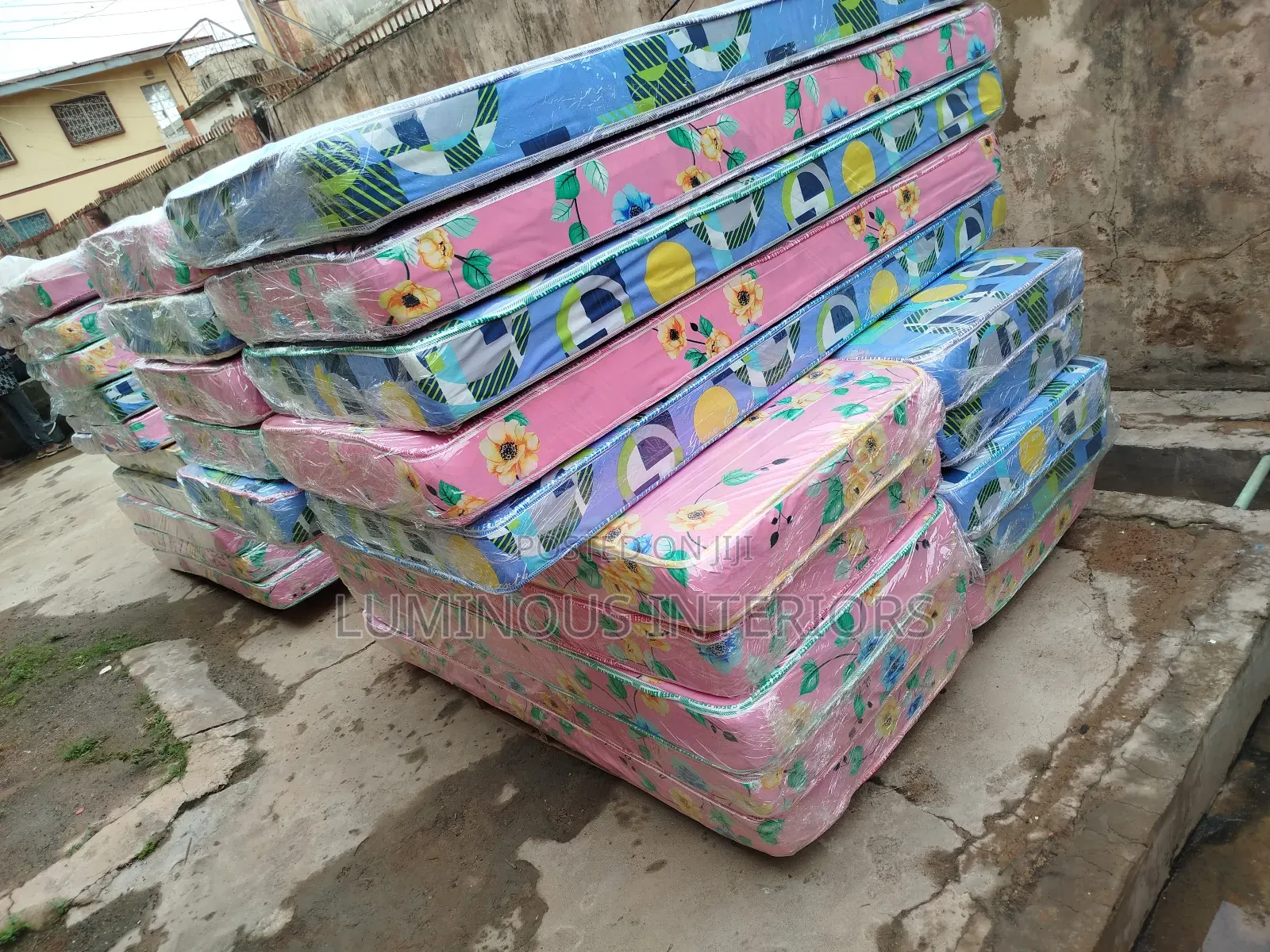 30 by 6" Thick Student Bed at Wholesale Price)