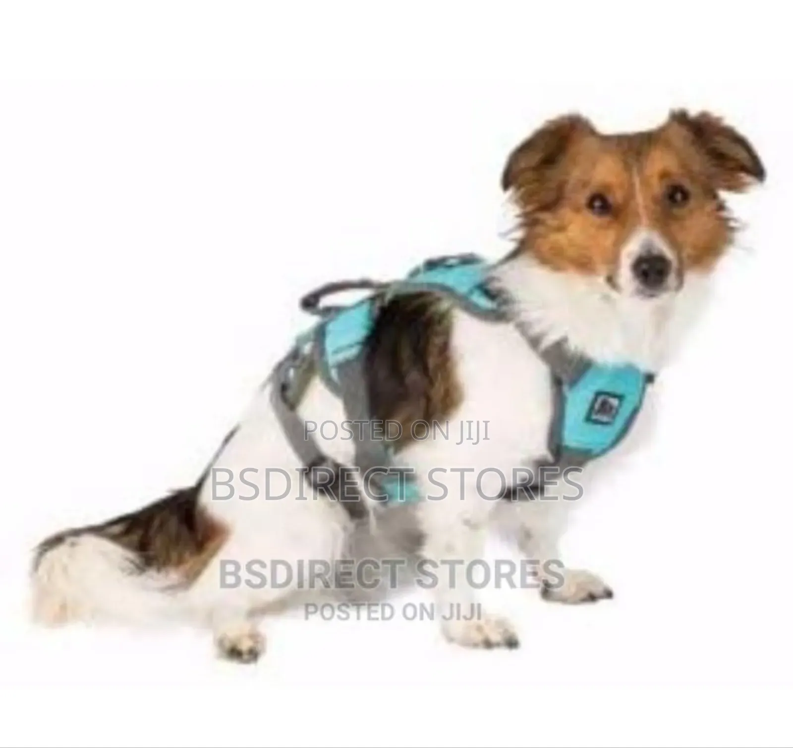 3 Peaks Lime Blue Small Ultra Fit Excursion Dog Harness