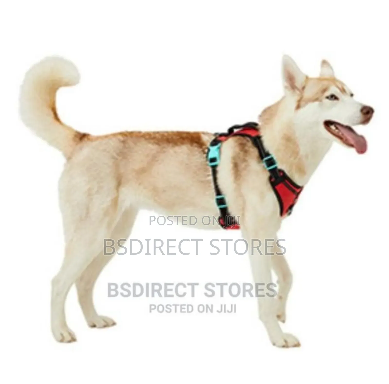 Pets At Home 3 Peaks RED SMALL Control Ascent Dog Harness