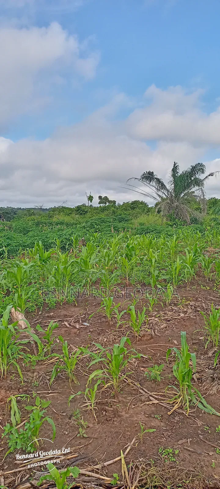Arable Farmland for Sale