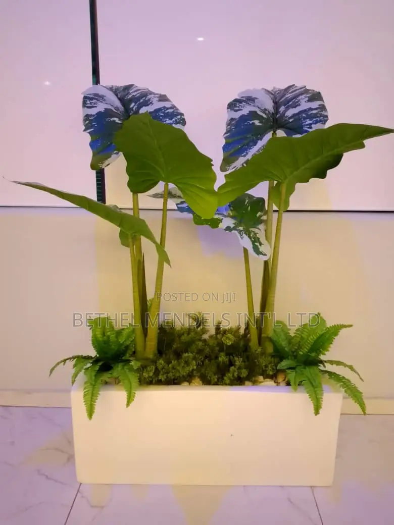 Artificial Plant Potted With Trough Fiberglass Pot/Planter