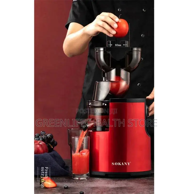 Sokany Advanced Tech Slow Juicer for High Nutrient Fruits 